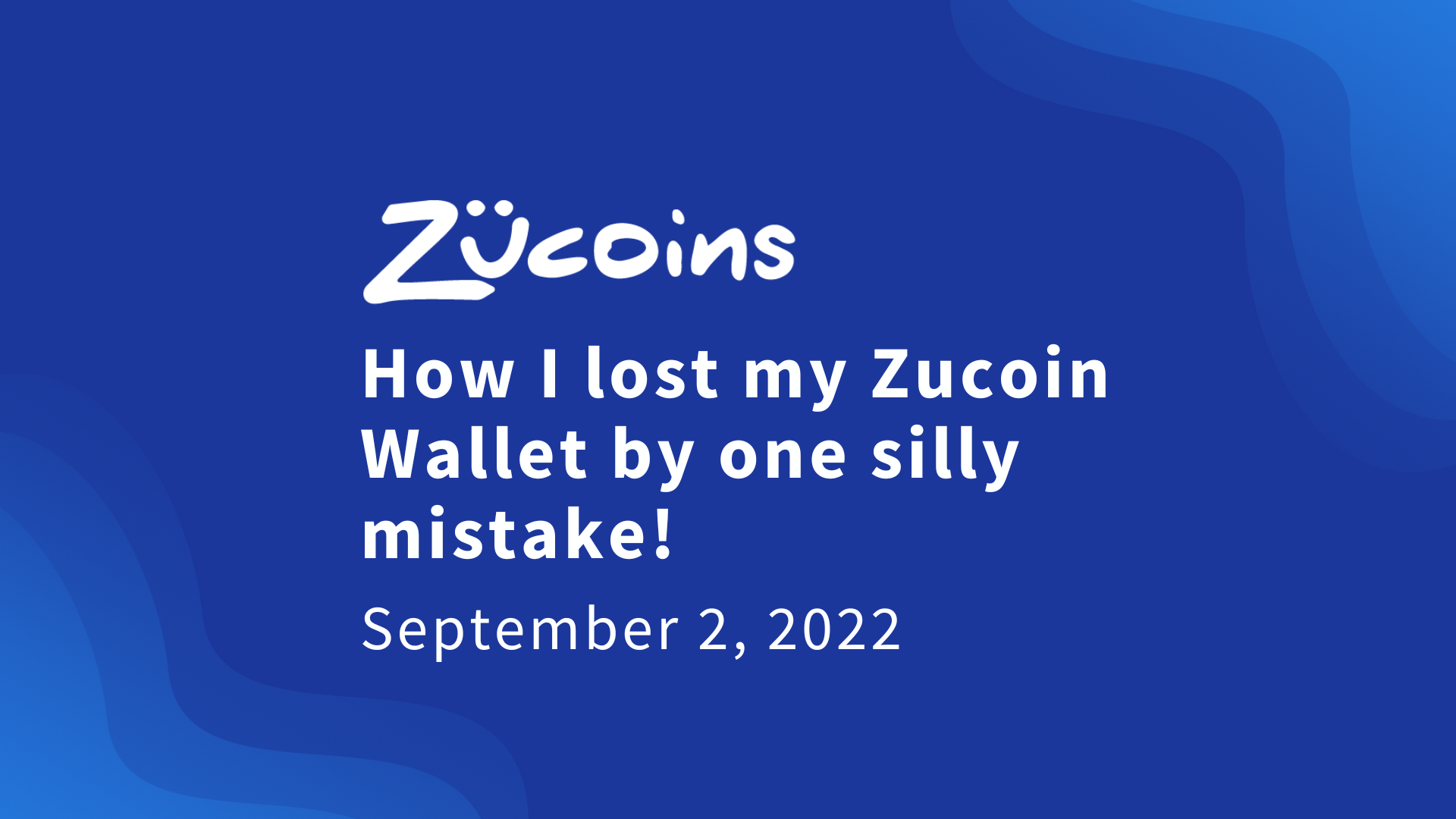 An honest Q&A with a Zucoin buyer who lost their Zucoins